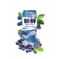 Fresh Asien Blueberry Ice Sparkling 330ml